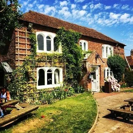 The Flying Horse-2